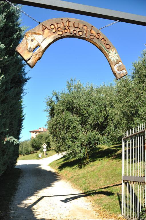 Agriturismo Spigolo Avesa Экстерьер фото